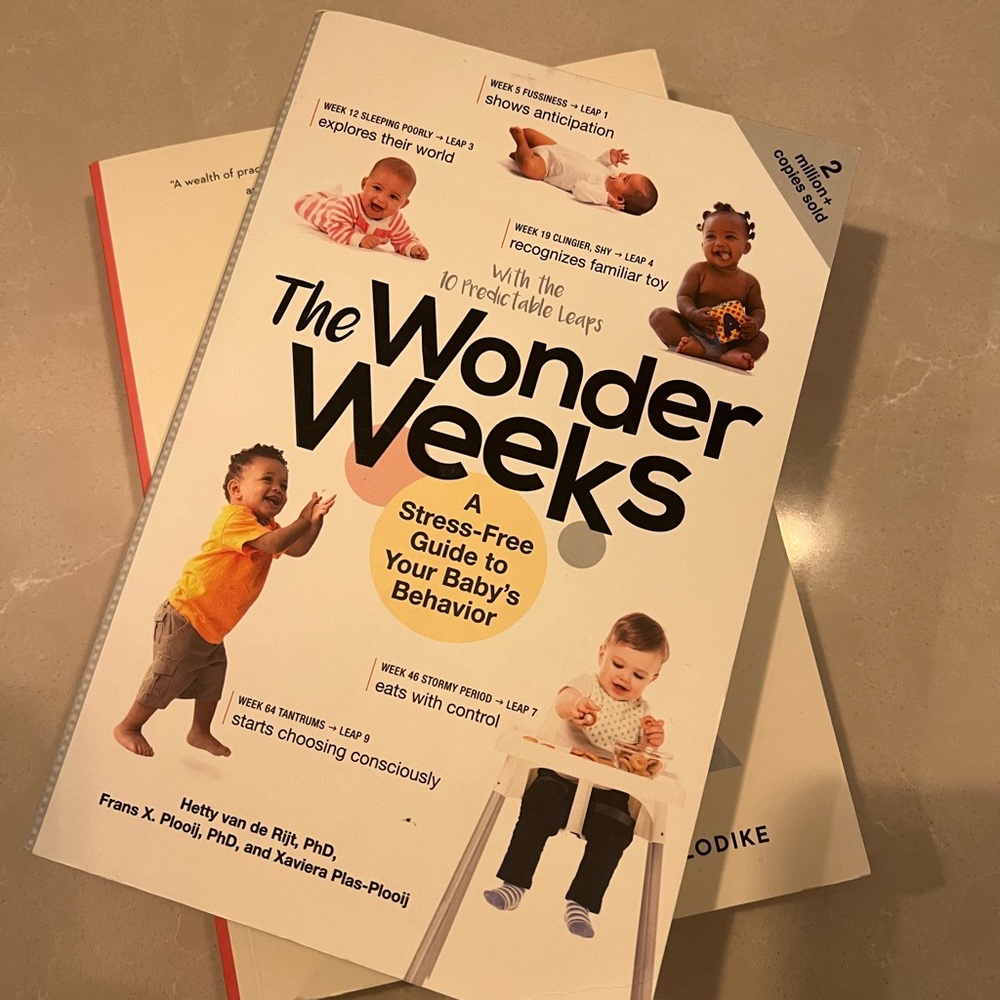 (2) Parenting books (baby learning)
